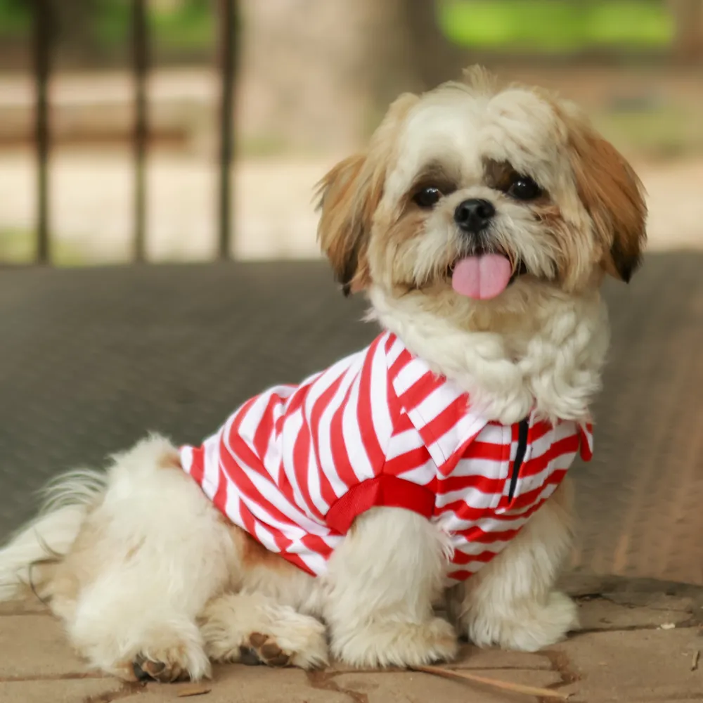 Red Striped Dog Polo Tee