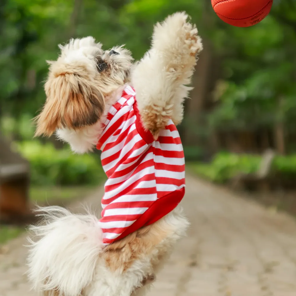 Red Striped Dog Polo Tee