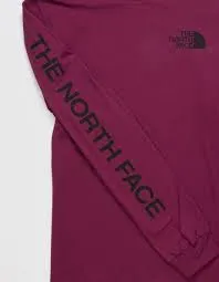 The North Face Mens Long Sleeve Hit Graphic Tee Purple